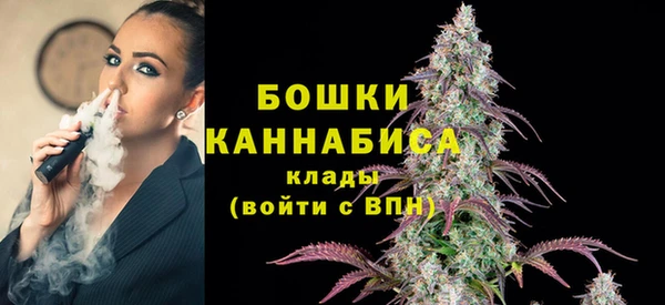 мдпв Волоколамск