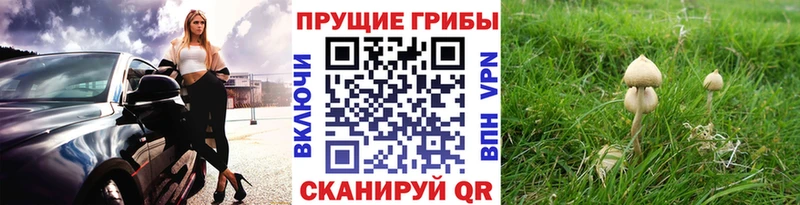 наркота  KRAKEN как зайти  Галлюциногенные грибы мицелий  Лысьва 